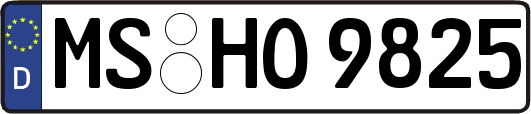 MS-HO9825