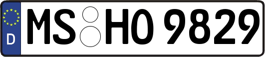 MS-HO9829