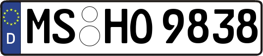 MS-HO9838
