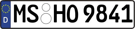 MS-HO9841