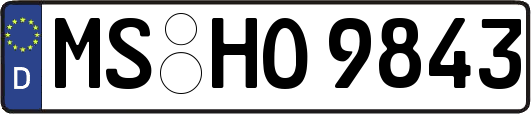 MS-HO9843