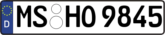MS-HO9845
