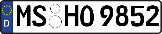 MS-HO9852