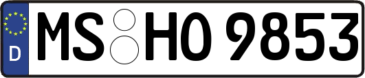 MS-HO9853