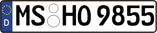MS-HO9855