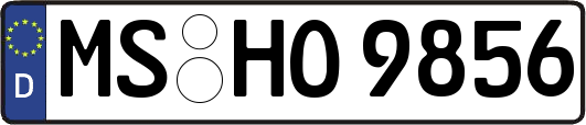 MS-HO9856
