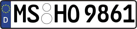 MS-HO9861