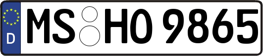 MS-HO9865