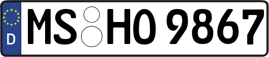 MS-HO9867