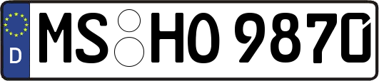 MS-HO9870