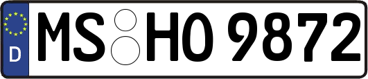 MS-HO9872