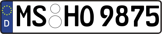 MS-HO9875