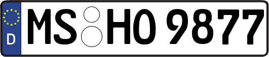 MS-HO9877