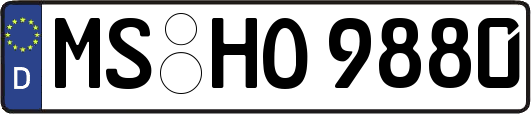 MS-HO9880