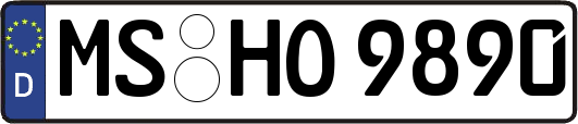 MS-HO9890