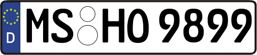 MS-HO9899