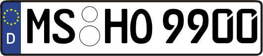 MS-HO9900