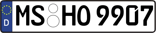 MS-HO9907