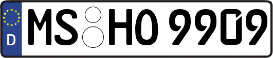 MS-HO9909