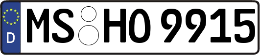 MS-HO9915