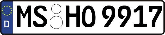 MS-HO9917