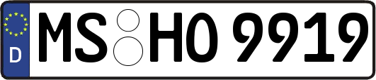 MS-HO9919