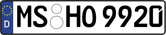 MS-HO9920