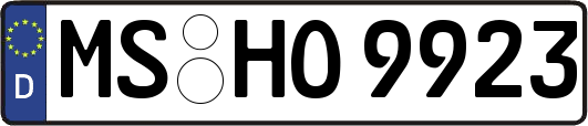 MS-HO9923