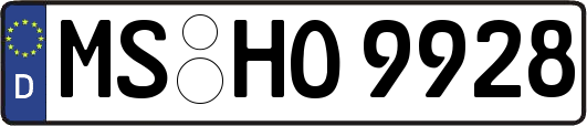 MS-HO9928