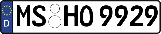 MS-HO9929