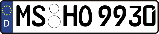 MS-HO9930