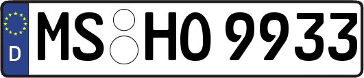 MS-HO9933
