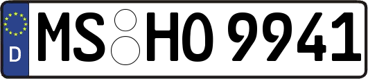 MS-HO9941
