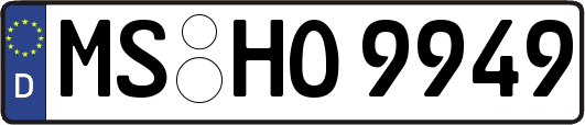 MS-HO9949