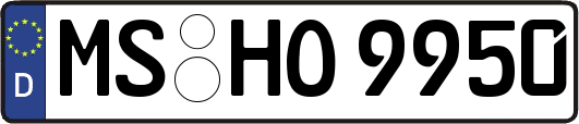 MS-HO9950