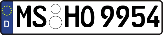 MS-HO9954