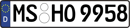 MS-HO9958