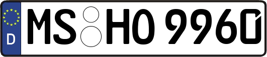 MS-HO9960