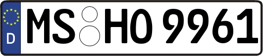 MS-HO9961