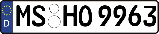 MS-HO9963