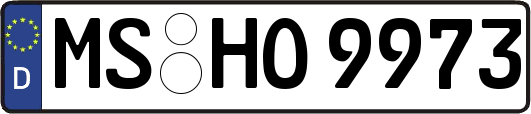 MS-HO9973
