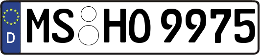 MS-HO9975