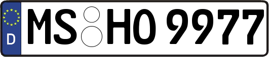 MS-HO9977