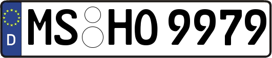 MS-HO9979