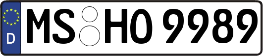 MS-HO9989