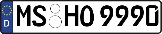 MS-HO9990