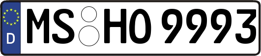MS-HO9993