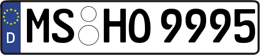 MS-HO9995