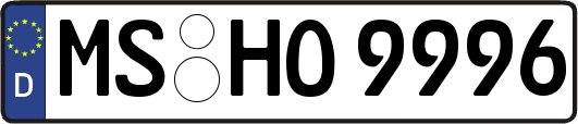 MS-HO9996