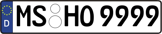 MS-HO9999